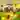 Bloons Tower Defense 5 atmospheric background - funclicker.app