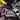 Cricket World Cup atmospheric background - funclicker.app