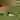 Forest Mouse atmospheric background - funclicker.app