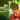 Slap Champions atmospheric background - funclicker.app