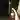 Slenderman: The Curse atmospheric background - funclicker.app