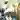 Temple Escape 2 atmospheric background - funclicker.app